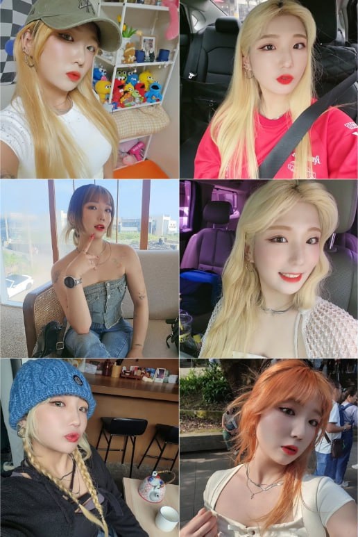 XC308 图片701张 视频34个 韩国 自拍 生活日常 生活场景丰富 海边 旅游 风景 美食 养宠物 闺蜜照     曝光度低