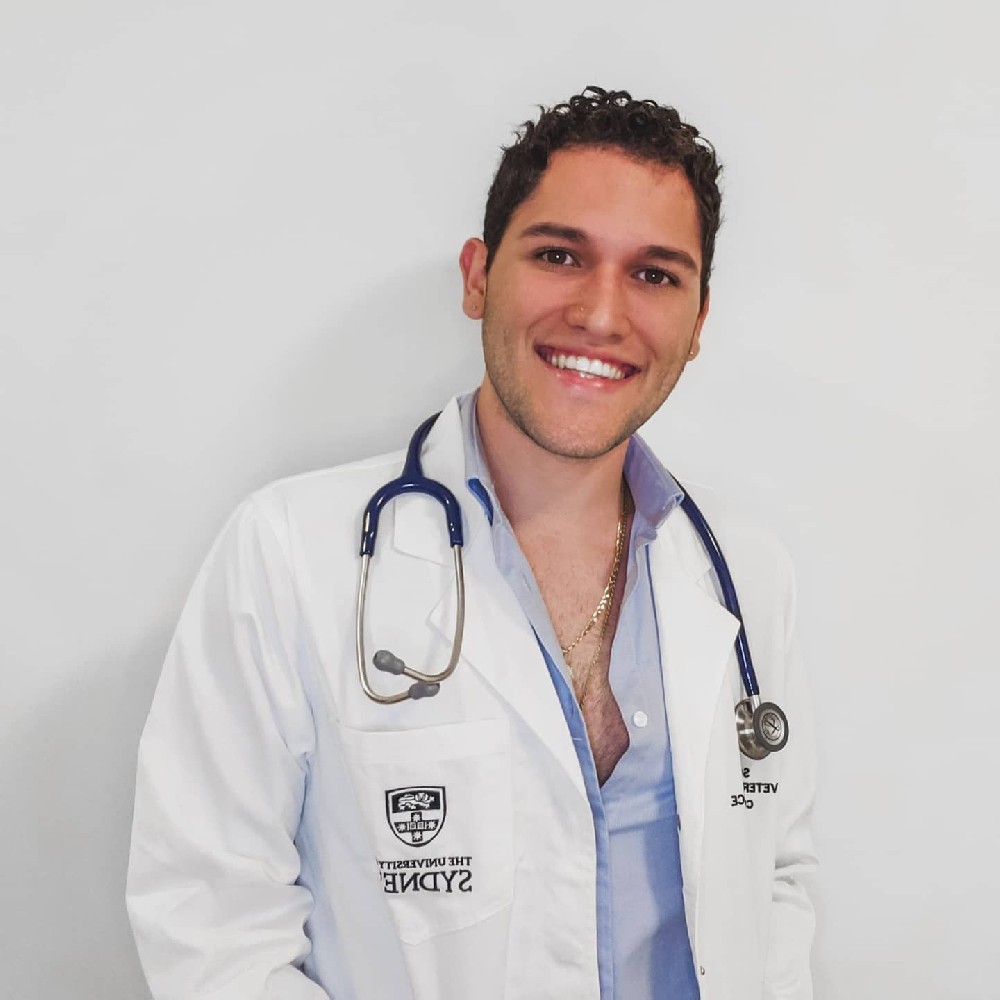 F286 照片224张 视频4个 波多黎各 职业兽医 露营 海边 工作照 朋友合照 生活日常